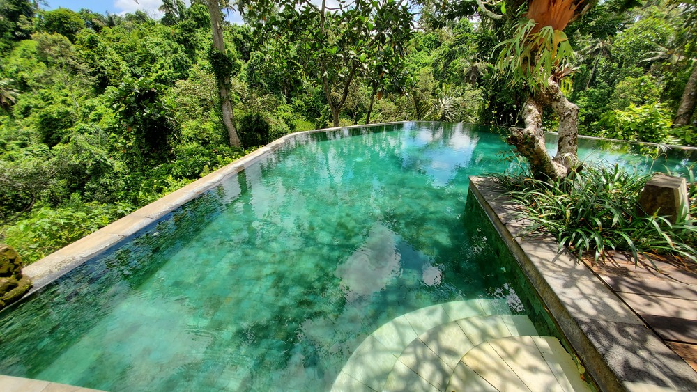 The Natura Villa, in Ubud, Bali