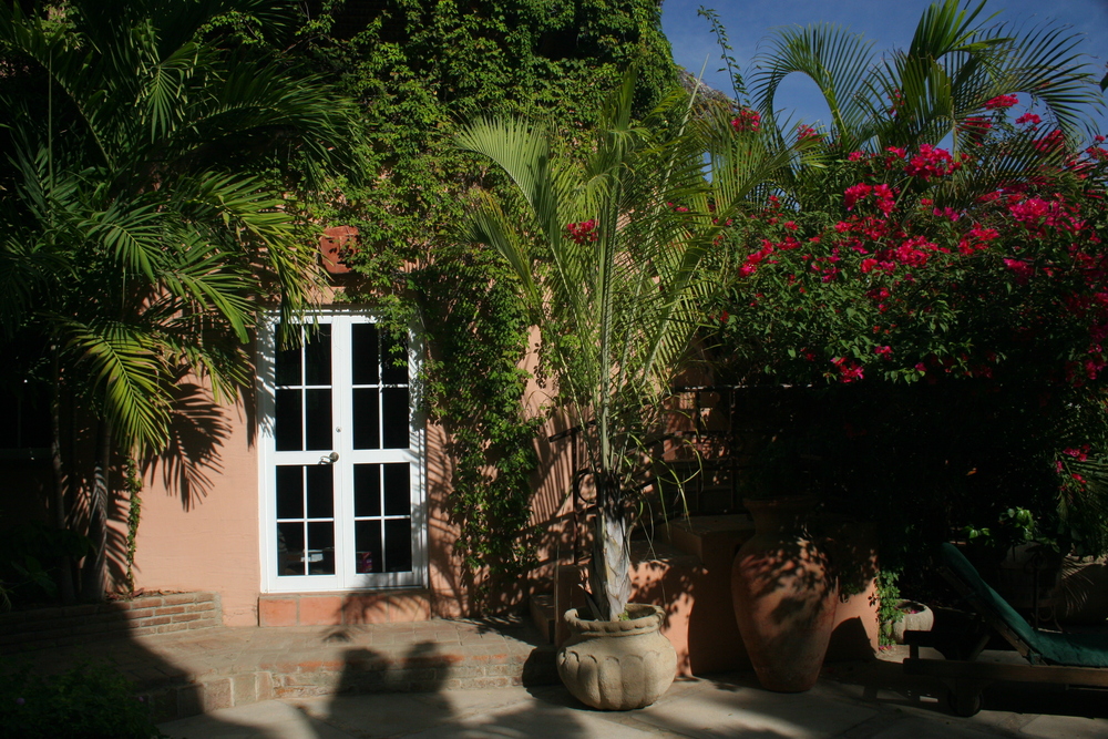 The shady breakfast nook and bougainvilleas.