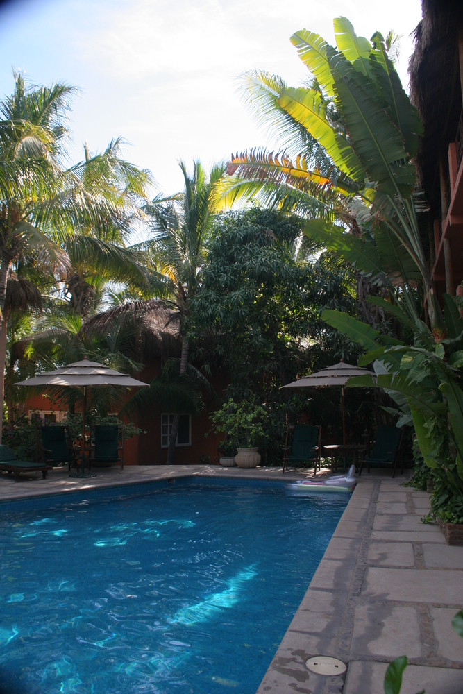 A daytime shot of the Bungalows pool.