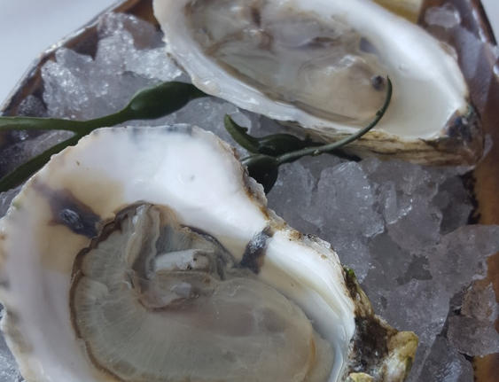 Do You Know When to Eat Oysters?